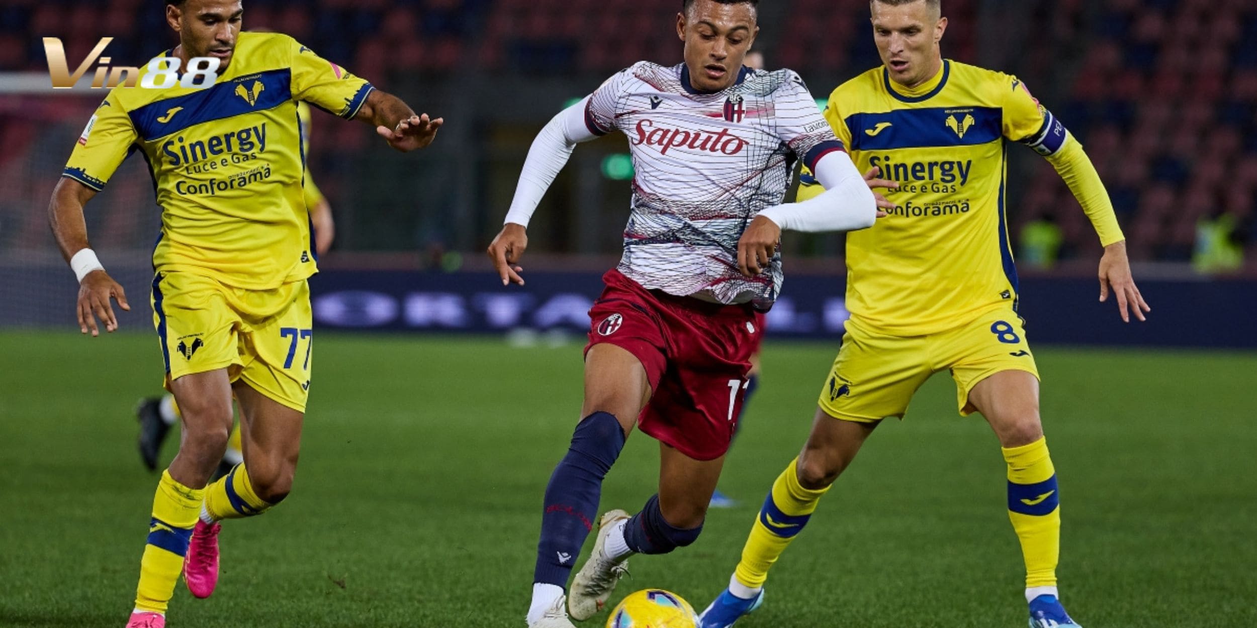 Bologna được đánh giá cao hơn Hellas Verona với lợi thế sân nhà Renato Dall'Ara