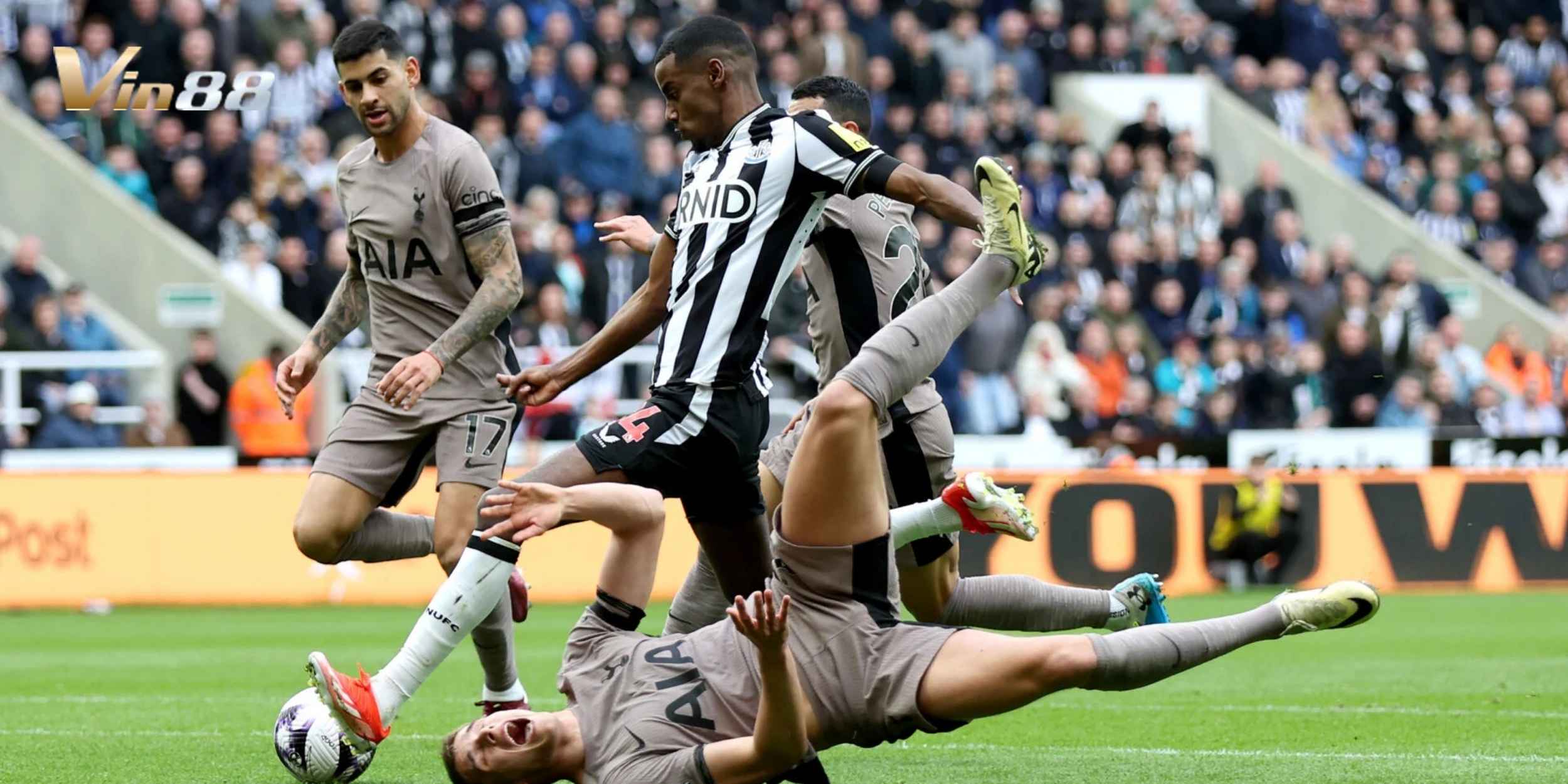 Tottenham Hotspur thi đấu không ổn định mùa giải này khi ở vị trí thấp hơn Newcastle United