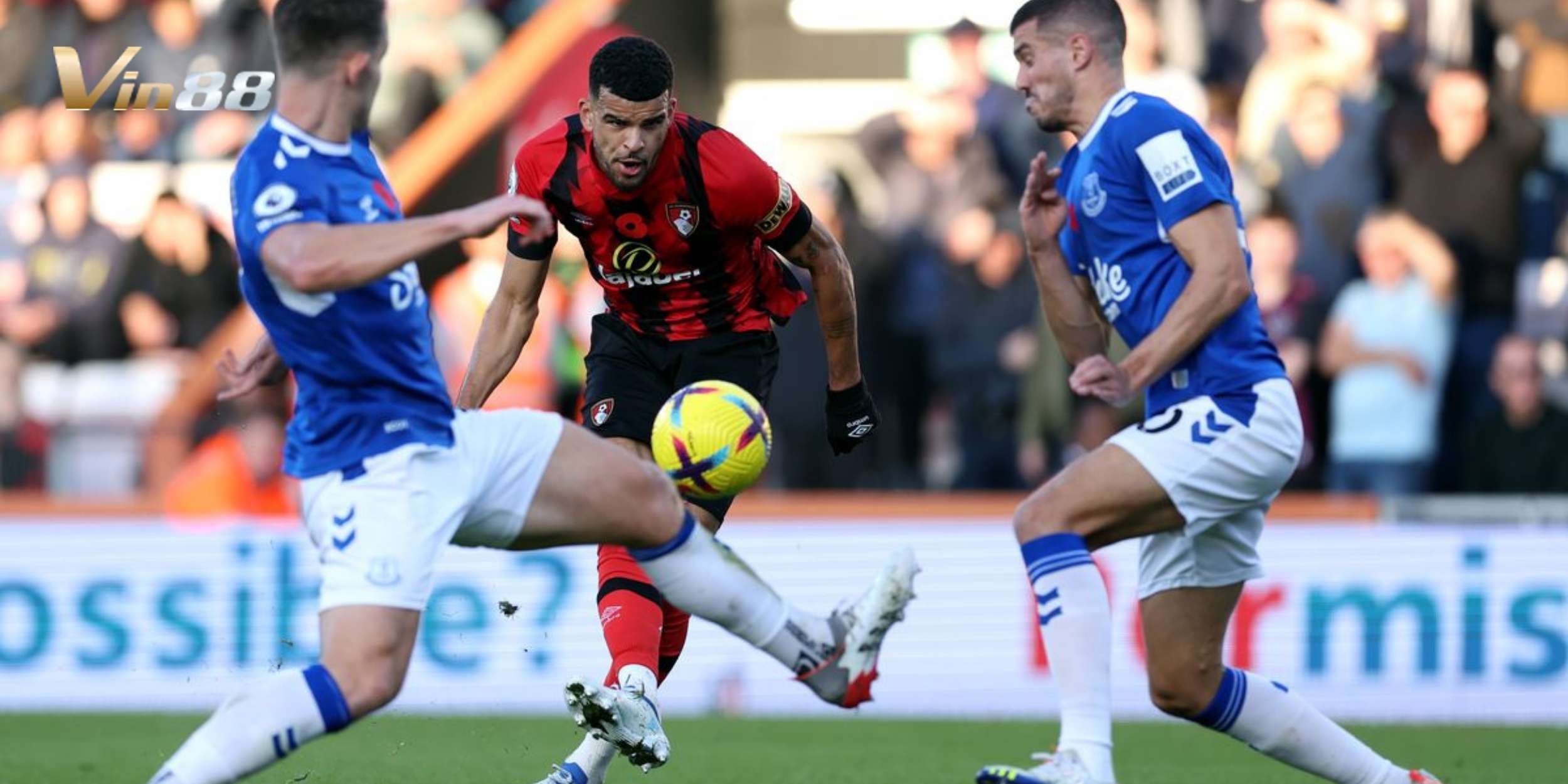 AFC Bournemouth đang có phong độ khá ổn định tại Premier League 2024/2025