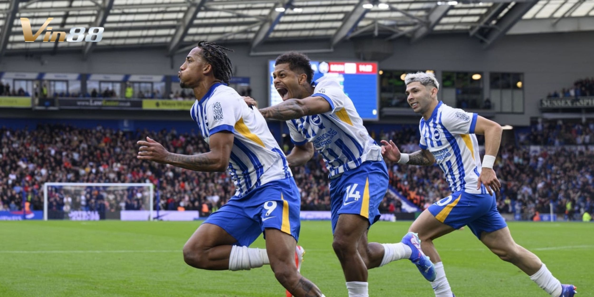 Cập nhật phong độ của Ipswich Town vs Brighton & Hove Albion dạo gần đây