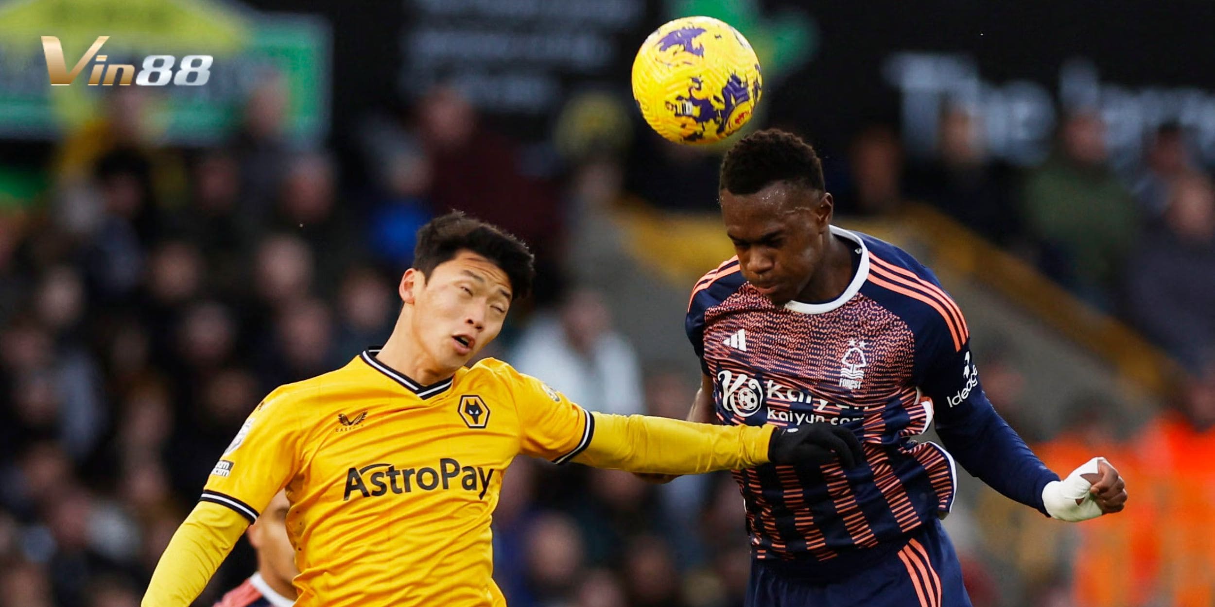Thực lực của Wolverhampton Wanderers vs Nottingham Forest đang có sự chênh lệch khá nhiều trong mùa này