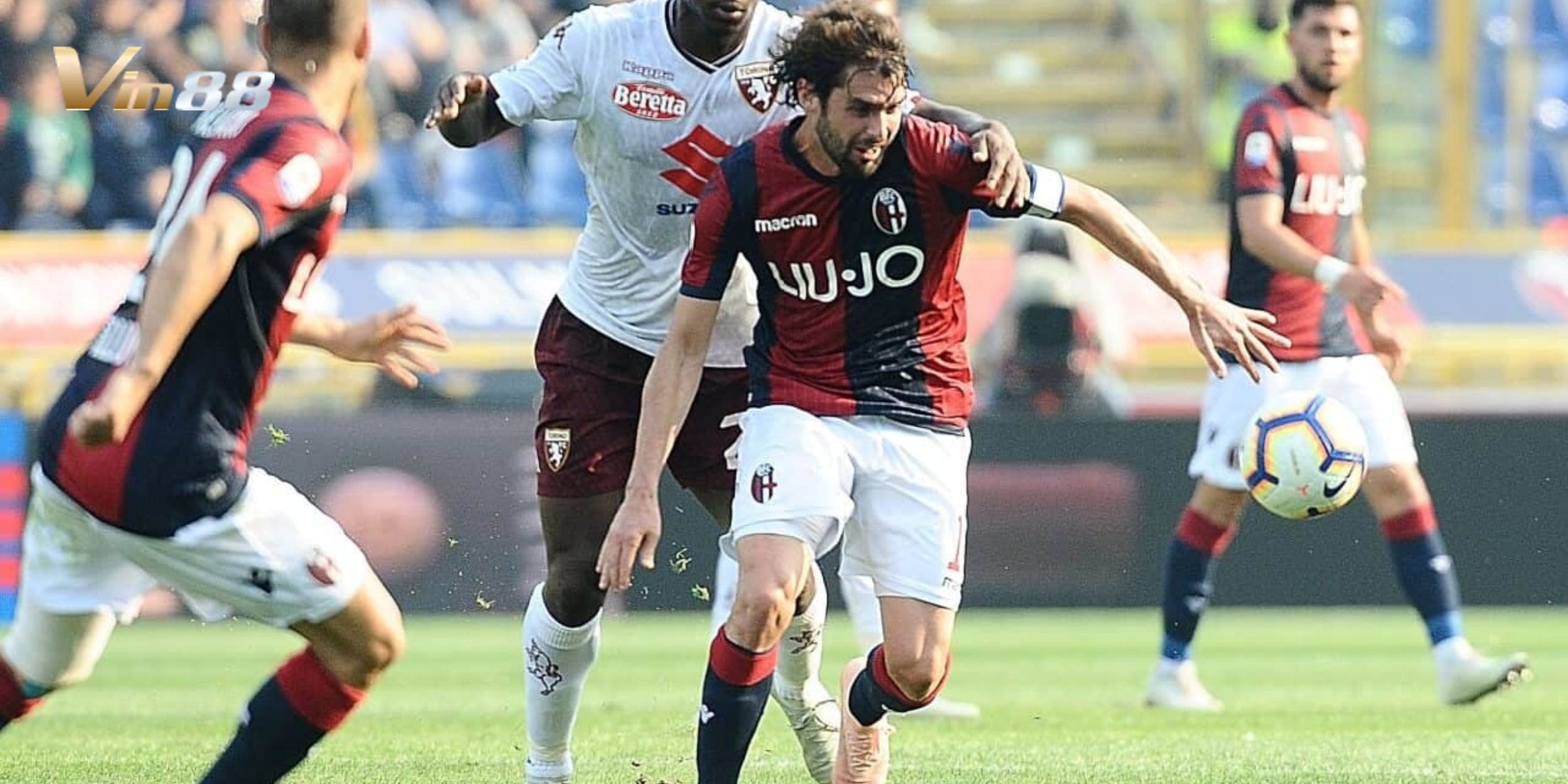 Bologna vs Torino bước vào trận đấu với quyết tâm dành điểm để cải thiện vị trí