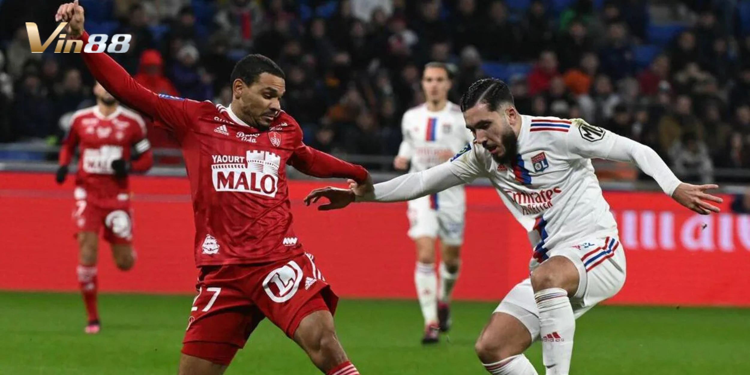 Brest đang có lực lượng ổn định trong khi Olympique Lyonnais lại đối mặt với nhiều chấn thương