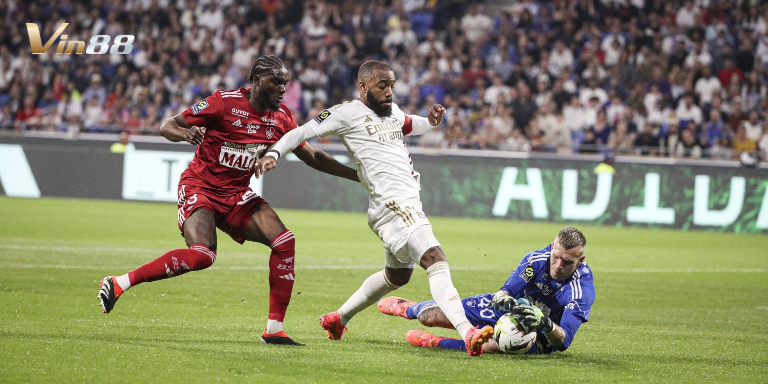 Olympique Lyonnais được đánh giá cao hơn Brest khi có 4/7 lần thắng khi đối đầu